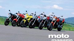 Primerjalni test: Cagiva Raptor 650, Ducati Monster 695, Honda 600 Hornet, Kawasaki ER-6n, Suzuki GSR 600, Yamaha FZ6