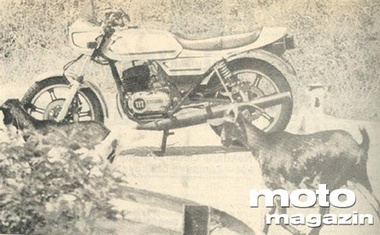 Crono 350
