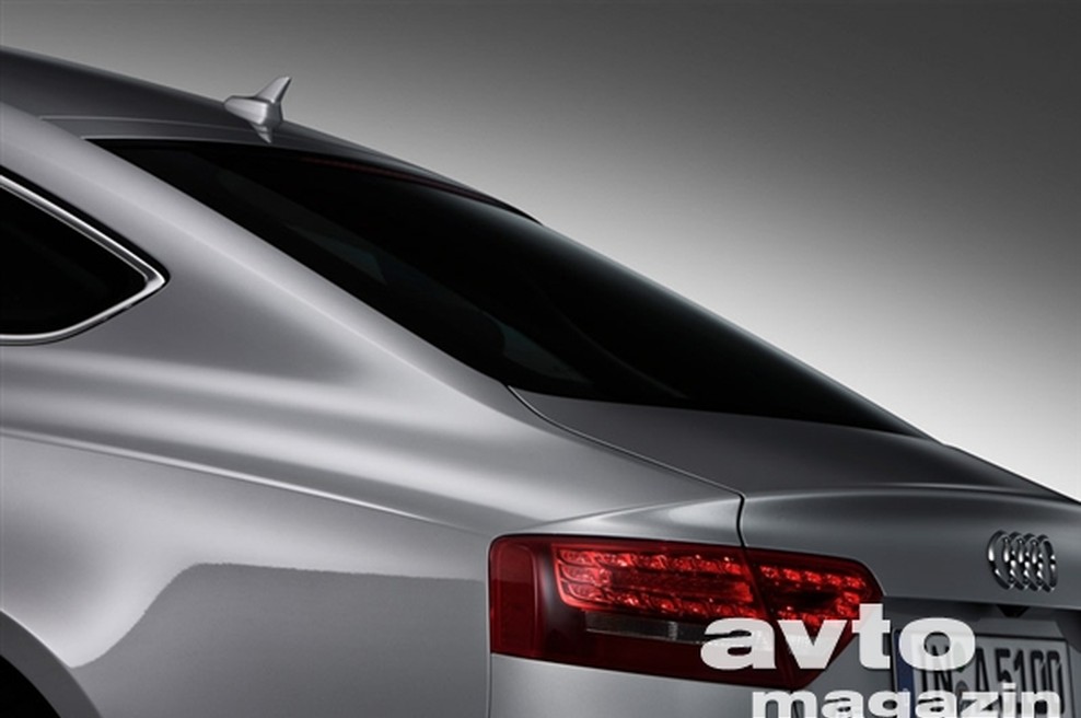 Audi v Sloveniji uspešno (foto: Audi)