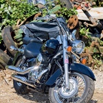 Test: Honda Shadow 750 C-ABS (foto: Aleš Pavletič)