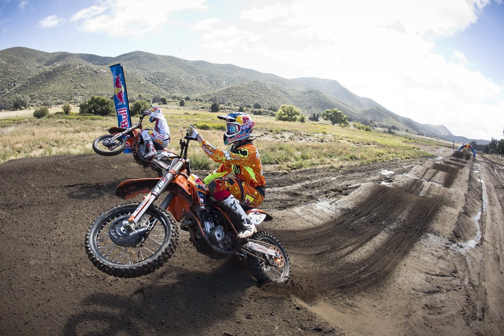 Red bull ritem 'sekcija'