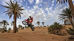 Reli Maroko: Najlepši utrinki po polovici zadnjega relija sezone