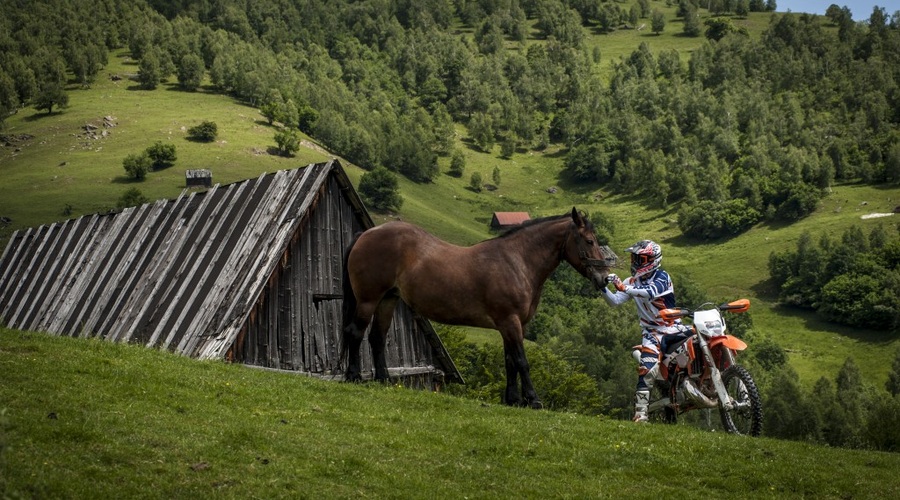 Avto proti motorju: ali kako KTM EXC 450 R nažge reli specialki (foto: KTM)