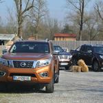 Novo v Sloveniji: Nissan Navara (foto: Tomaž Porekar)