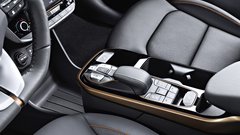 Hyundai Ioniq Electric in Hybrid: Prazen list papirja