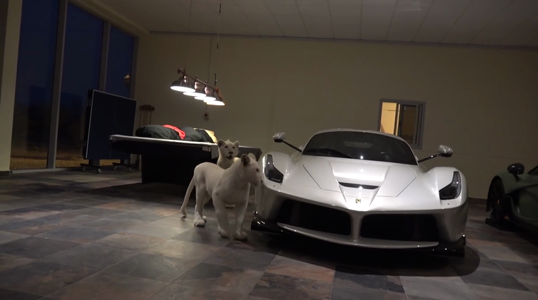 Povabljeni v še eno luksuzno garažo, kjer se med super avtomobili sprehajata kar dva redka bela leva (foto: effspot @ YouTube)
