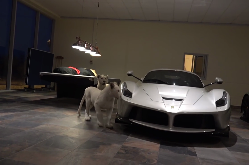 Povabljeni v še eno luksuzno garažo, kjer se med super avtomobili sprehajata kar dva redka bela leva (foto: effspot @ YouTube)
