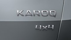 Kodiaqov manjši brat se imenuje Karoq