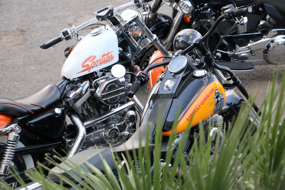 Foto: ko se v Palermu zberejo lastniki Harley-Davidsonov