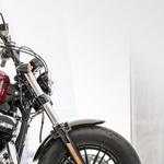 Vozili smo: Harley-Davidson Iron 1200 in Forty-Eight Special (foto: Amy Shore)