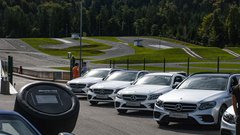 Jagodni izbor Mercedesovih zvezd znova na Vranskem - vključno z najbolj zaželeno