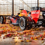 Video: Alex Albon in Max Verstappen odkrivata Nizozemsko - v formulah! (foto: Red Bull)