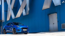 Puma dlako menja, a narave nikoli