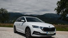 Rekorderka je naredila korak naprej (Novo v Sloveniji: Škoda Octavia)