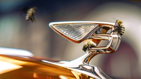 Bentley v prihodnjih letih ukinja bencinske motorje!