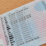 Veste, kaj pomenijo številke na zadnji strani vozniškega dovoljenja? Poznavanje vas utegne rešiti zadrege in stroškov (foto: Jure Šujica)