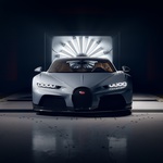 Premiera: Bugattijev hitrostni rekorder tokrat s pridihom prestiža (foto: Bugatti)