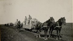 Za vleko poljske železnice so v glavnem uporabljali konje.
