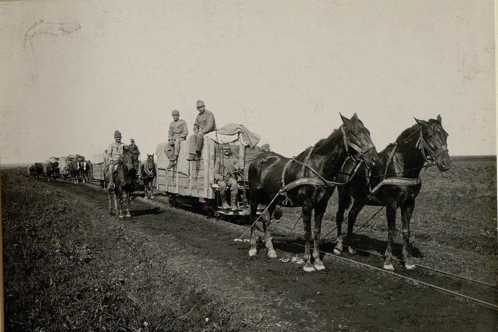 Za vleko poljske železnice so v glavnem uporabljali konje.