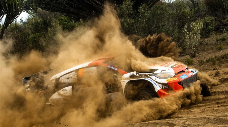Rally WRC: konkurenca zrla Toyoti v hrbet (foto: Red Bull)