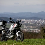 Desert iz Borgo Panigalea (foto: Uroš Modlic)