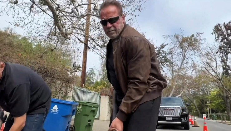 Terminator ali »Asfaltonator«? Schwarzenegger vzel stvari v svoje roke in »zakrpal luknjo« v soseski