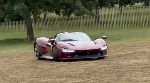 Dva milijona evrov v blatu. Ta avto zagotovo ni »garažna kraljica« (VIDEO)