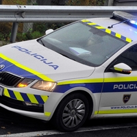 Dama si je pošteno privoščila policiste, a na koncu potegnila kratko