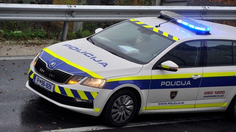 Dama si je pošteno privoščila policiste, a na koncu potegnila kratko