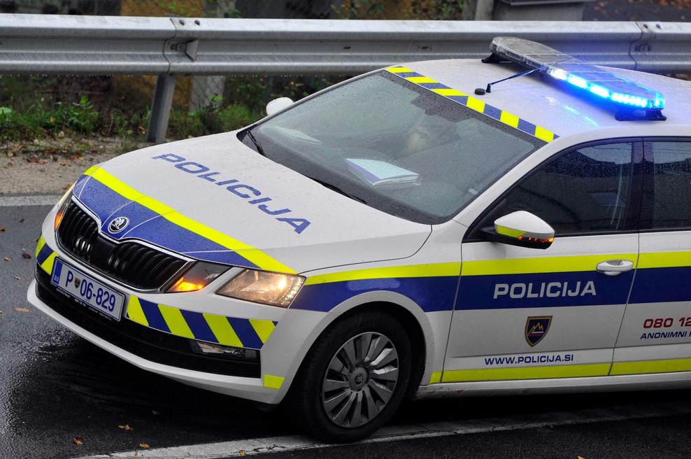 Dama si je pošteno privoščila policiste, a na koncu potegnila kratko (foto: Srdjan Zivulovic/Bobo)