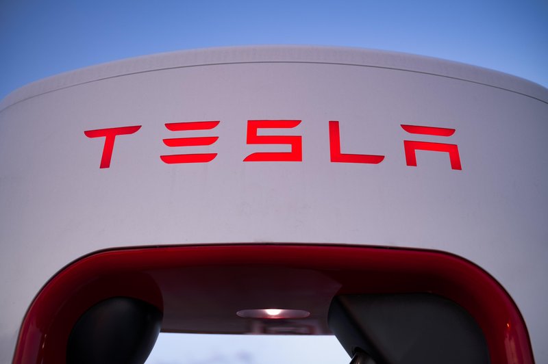 Kaj Tesla skriva pod imenom "Redwood" - mogoče najcenejši model? (foto: Profimedia)