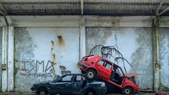 Poleg okoljske škode in izgleda predstavljajo zauščeni avtomobili tudi ogromno eoknomsko škodo.