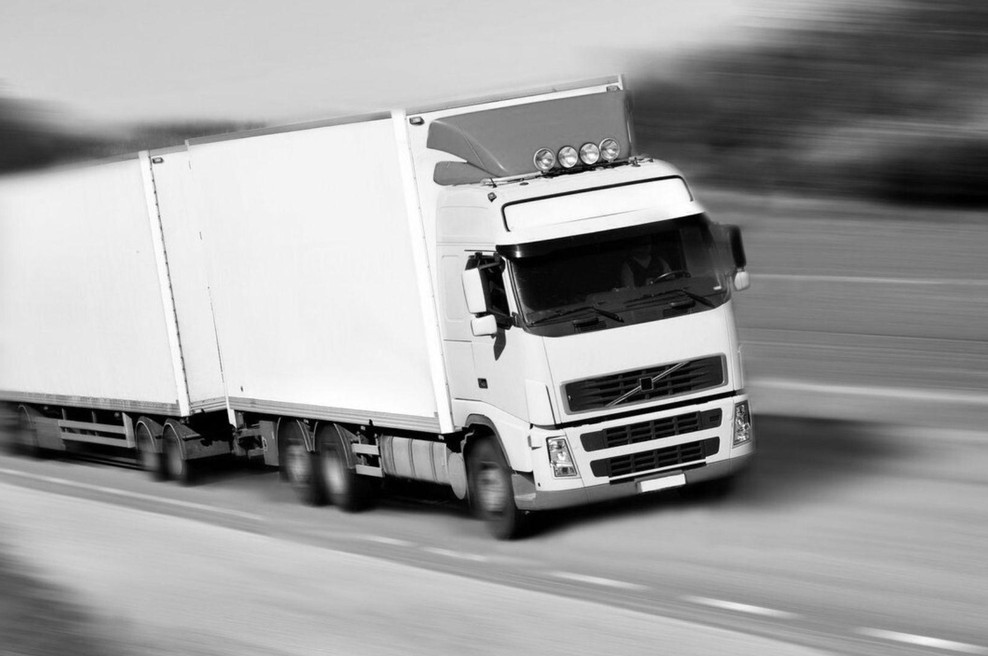 Tovornjakar, ki dela v Nemčiji, pokazal, koliko dejansko zasluži: "Tisti, ki pravijo, da ni tako, lažejo," je bil odločen (foto: Profimedia)