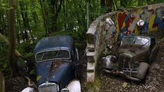 V gozdu propada večmilijonska zbirka kultnih avtomobilov. In to namenoma ... Le zakaj?!
