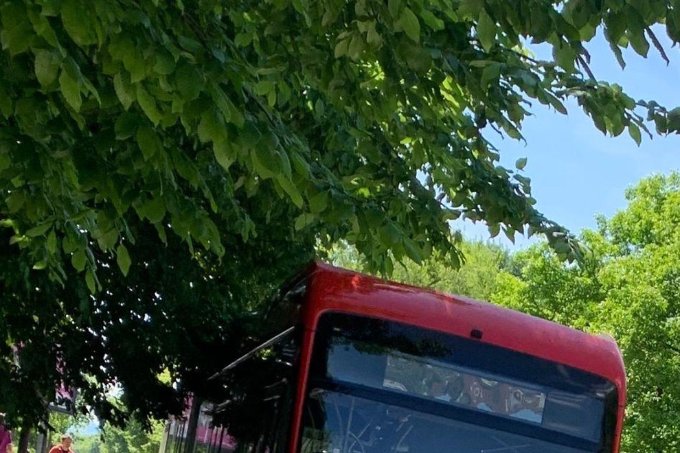 LPP rdec avtobus BYD eBus B18