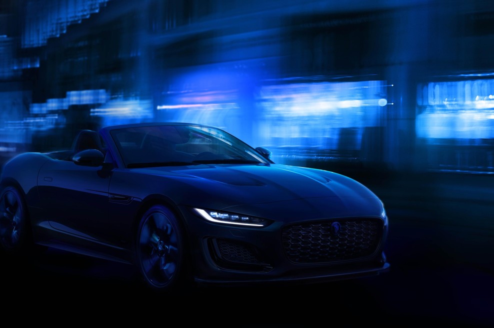 Še malo in poslovila se bo še ena divja mačka (foto: Jaguar)