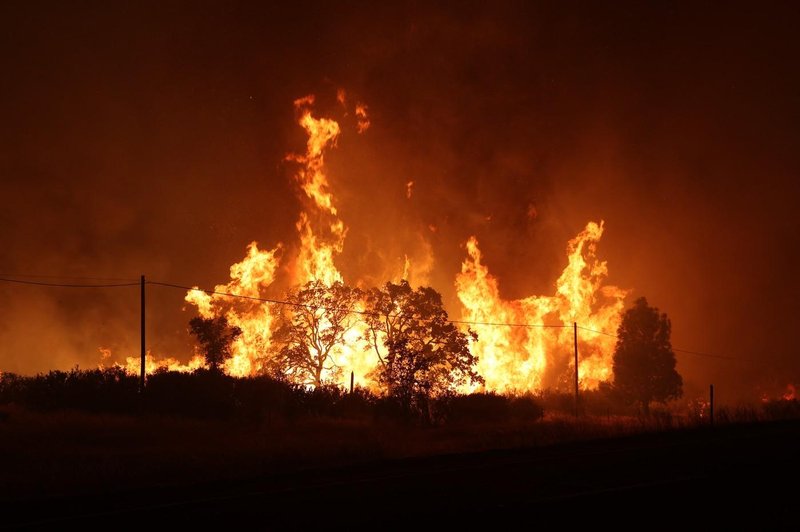 Fotografija je simbolična. (foto: Profimedia)