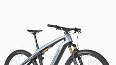 PORSCHE EBIKE CROSS PERFORMANCE