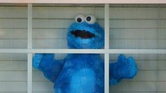 Cookie Monster