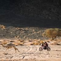 Sanders in Lategan v vodstvu, Mulec napreduje