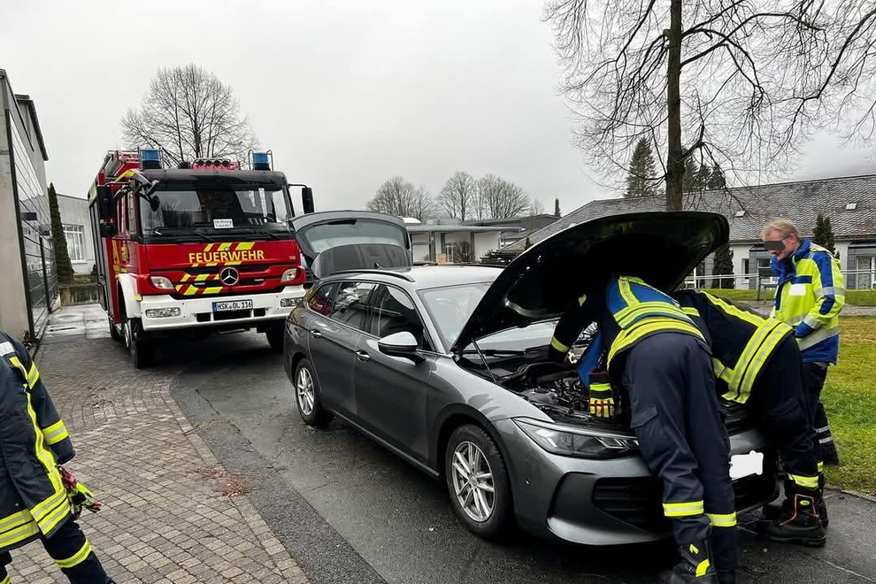 Šok za voznika: Poglejte koga je zagledal pod pokrovom motorja po 75 kilometrski vožnji