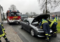 Šok za voznika: Poglejte koga je zagledal pod pokrovom motorja po 75 kilometrski vožnji