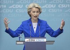 Dogovor med EU in ZDA je torej tu, Nemci pa niso povsem zadovoljni. Preverite, kaj jih moti