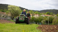 Z električnimi Miniji po slovenski Toskani: med tartufi, oljkami in realnostjo električne mobilnosti