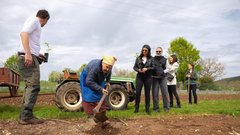 Z električnimi Miniji po slovenski Toskani: med tartufi, oljkami in realnostjo električne mobilnosti