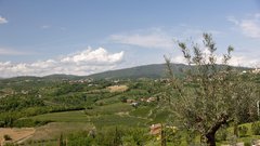 Z električnimi Miniji po slovenski Toskani: med tartufi, oljkami in realnostjo električne mobilnosti