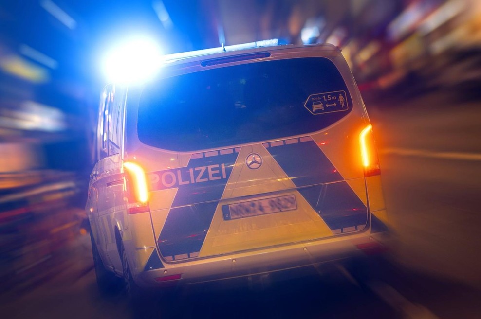 Tragedija na avtocesti: družina s sedmimi člani trčila v parkiran tovornjak, posledice osupljive (foto: Profimedia)