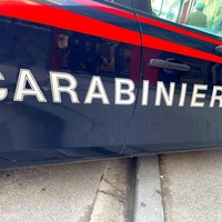 Italijanska policija nezadovoljna s priljubljenim športnim terencem - skrbita jih varnost in učinkovitost