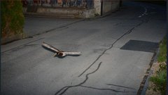 Po sedmih letih je storil enak prekršek na istem mestu - a policija mu ne more nič!