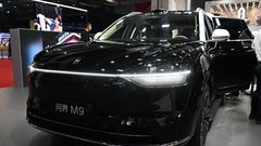 To je znamka, za katero najbrž sploh še niste slišali, a je lani na domačem trgu prodala več luksuznih avtomobilov kot BMW in Mercedes-Benz